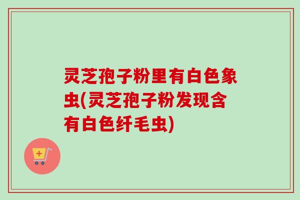 灵芝孢子粉里有白色象虫(灵芝孢子粉发现含有白色纤毛虫)-第1张图片-卓越灵芝孢子粉 灵芝孢子粉里有白色象虫(灵芝孢子粉发现含有白色纤毛虫)-第1张图片-卓越灵芝孢子粉
