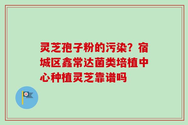灵芝孢子粉的污染?宿城区鑫常达菌类培植中心种植灵芝靠谱吗-第1张图片-卓越灵芝孢子粉 灵芝孢子粉的污染?宿城区鑫常达菌类培植中心种植灵芝靠谱吗-第1张图片-卓越灵芝孢子粉
