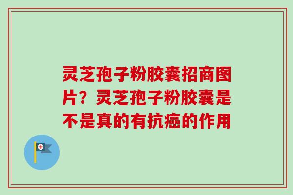 灵芝孢子粉胶囊招商图片?灵芝孢子粉胶囊是不是真的有抗癌的作用-第1张图片-卓越灵芝孢子粉 灵芝孢子粉胶囊招商图片?灵芝孢子粉胶囊是不是真的有抗癌的作用-第1张图片-卓越灵芝孢子粉