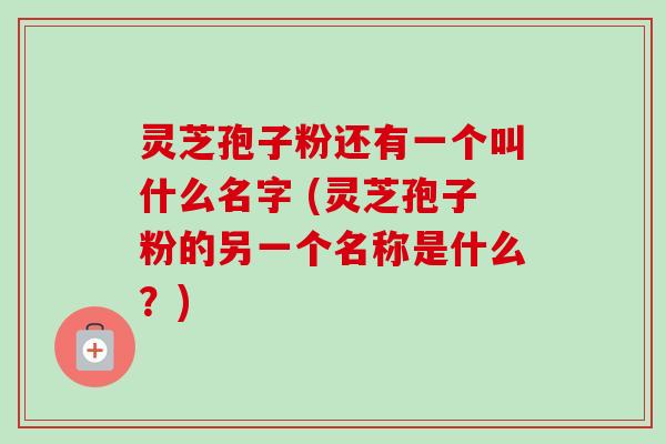 灵芝孢子粉还有一个叫什么名字 (灵芝孢子粉的另一个名称是什么?)-第1张图片-卓越灵芝孢子粉 灵芝孢子粉还有一个叫什么名字 (灵芝孢子粉的另一个名称是什么?)-第1张图片-卓越灵芝孢子粉
