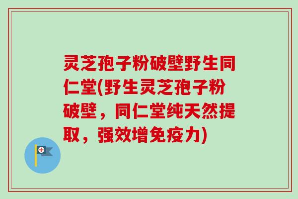 灵芝孢子粉破壁野生同仁堂(野生灵芝孢子粉破壁，同仁堂纯天然提取，强效增免疫力)-第1张图片-卓越灵芝孢子粉
