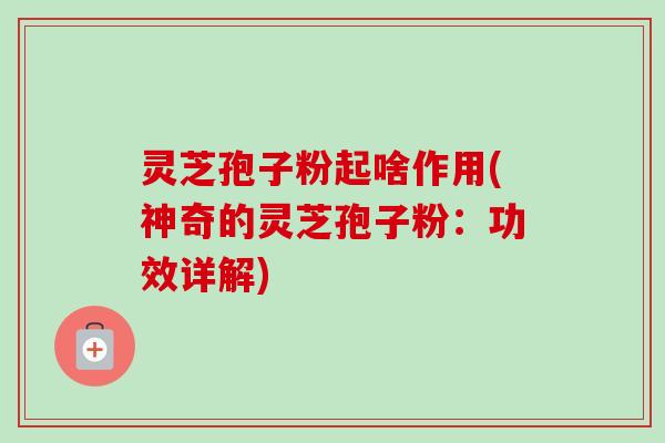 灵芝孢子粉起啥作用(神奇的灵芝孢子粉:功效详解)-第1张图片-卓越灵芝孢子粉 灵芝孢子粉起啥作用(神奇的灵芝孢子粉:功效详解)-第1张图片-卓越灵芝孢子粉