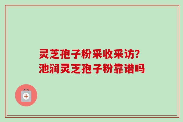 灵芝孢子粉采收采访？池润灵芝孢子粉靠谱吗-第1张图片-卓越灵芝孢子粉