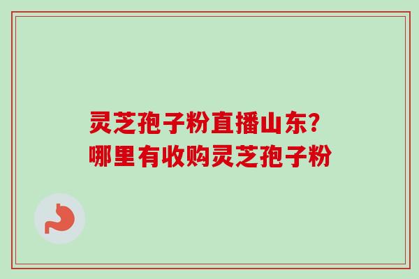 灵芝孢子粉直播山东?哪里有收购灵芝孢子粉-第1张图片-卓越灵芝孢子粉 灵芝孢子粉直播山东?哪里有收购灵芝孢子粉-第1张图片-卓越灵芝孢子粉