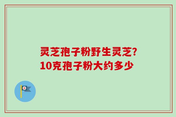 灵芝孢子粉野生灵芝?10克孢子粉大约多少-第1张图片-卓越灵芝孢子粉 灵芝孢子粉野生灵芝?10克孢子粉大约多少-第1张图片-卓越灵芝孢子粉