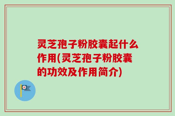 灵芝孢子粉胶囊起什么作用(灵芝孢子粉胶囊的功效及作用简介)-第1张图片-卓越灵芝孢子粉 灵芝孢子粉胶囊起什么作用(灵芝孢子粉胶囊的功效及作用简介)-第1张图片-卓越灵芝孢子粉