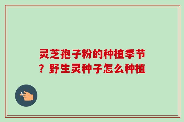 灵芝孢子粉的种植季节?野生灵种子怎么种植-第1张图片-卓越灵芝孢子粉 灵芝孢子粉的种植季节?野生灵种子怎么种植-第1张图片-卓越灵芝孢子粉
