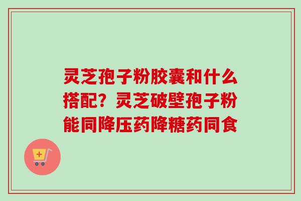 灵芝孢子粉胶囊和什么搭配?灵芝破壁孢子粉能同降压药降糖药同食-第1张图片-卓越灵芝孢子粉 灵芝孢子粉胶囊和什么搭配?灵芝破壁孢子粉能同降压药降糖药同食-第1张图片-卓越灵芝孢子粉