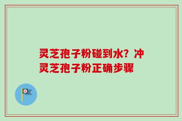 灵芝孢子粉碰到水？冲灵芝孢子粉正确步骤-第1张图片-卓越灵芝孢子粉