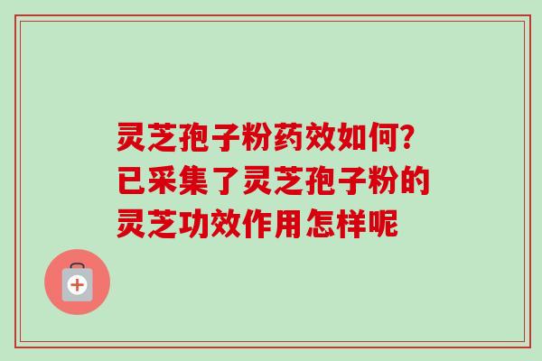 灵芝孢子粉药效如何?已采集了灵芝孢子粉的灵芝功效作用怎样呢-第1张图片-卓越灵芝孢子粉 灵芝孢子粉药效如何?已采集了灵芝孢子粉的灵芝功效作用怎样呢-第1张图片-卓越灵芝孢子粉