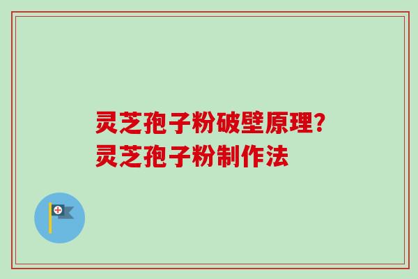 灵芝孢子粉破壁原理？灵芝孢子粉制作法-第1张图片-卓越灵芝孢子粉