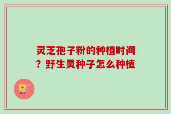 灵芝孢子粉的种植时间?野生灵种子怎么种植-第1张图片-卓越灵芝孢子粉 灵芝孢子粉的种植时间?野生灵种子怎么种植-第1张图片-卓越灵芝孢子粉