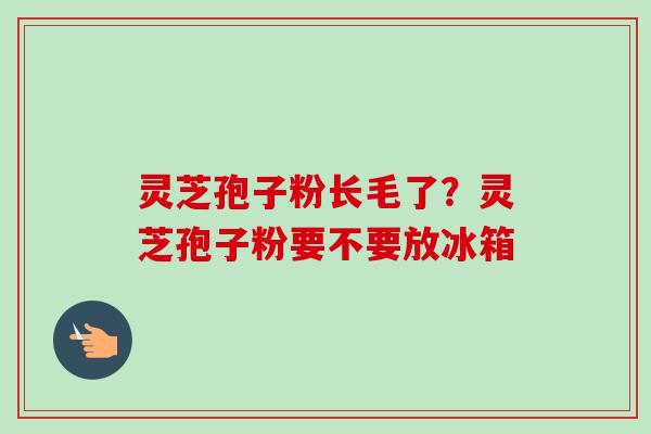 灵芝孢子粉长毛了？灵芝孢子粉要不要放冰箱-第1张图片-卓越灵芝孢子粉