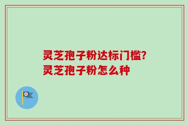 灵芝孢子粉达标门槛？灵芝孢子粉怎么种-第1张图片-卓越灵芝孢子粉