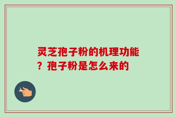 灵芝孢子粉的机理功能?孢子粉是怎么来的-第1张图片-卓越灵芝孢子粉 灵芝孢子粉的机理功能?孢子粉是怎么来的-第1张图片-卓越灵芝孢子粉