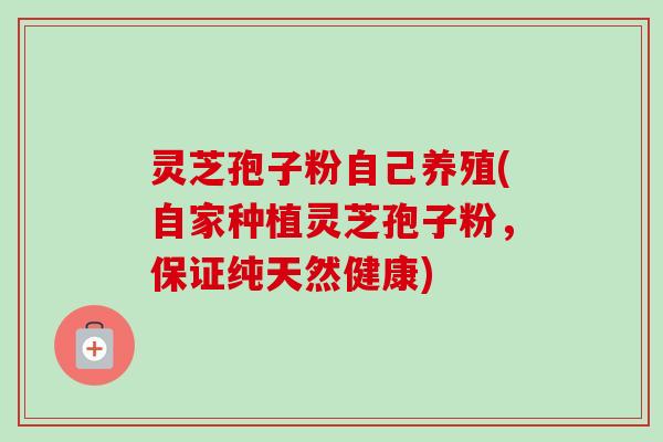 灵芝孢子粉自己养殖(自家种植灵芝孢子粉，保证纯天然健康)-第1张图片-卓越灵芝孢子粉