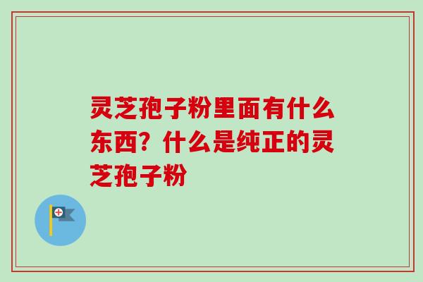 灵芝孢子粉里面有什么东西?什么是纯正的灵芝孢子粉-第1张图片-卓越灵芝孢子粉 灵芝孢子粉里面有什么东西?什么是纯正的灵芝孢子粉-第1张图片-卓越灵芝孢子粉