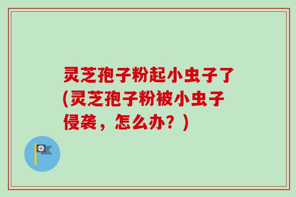 灵芝孢子粉起小虫子了(灵芝孢子粉被小虫子侵袭,怎么办?)-第1张图片-卓越灵芝孢子粉 灵芝孢子粉起小虫子了(灵芝孢子粉被小虫子侵袭,怎么办?)-第1张图片-卓越灵芝孢子粉