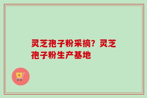 灵芝孢子粉采摘?灵芝孢子粉生产基地-第1张图片-卓越灵芝孢子粉 灵芝孢子粉采摘?灵芝孢子粉生产基地-第1张图片-卓越灵芝孢子粉