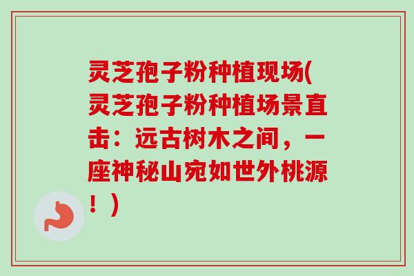 灵芝孢子粉种植现场(灵芝孢子粉种植场景直击:远古树木之间,一座神秘山宛如世外桃源!)-第1张图片-卓越灵芝孢子粉 灵芝孢子粉种植现场(灵芝孢子粉种植场景直击:远古树木之间,一座神秘山宛如世外桃源!)-第1张图片-卓越灵芝孢子粉