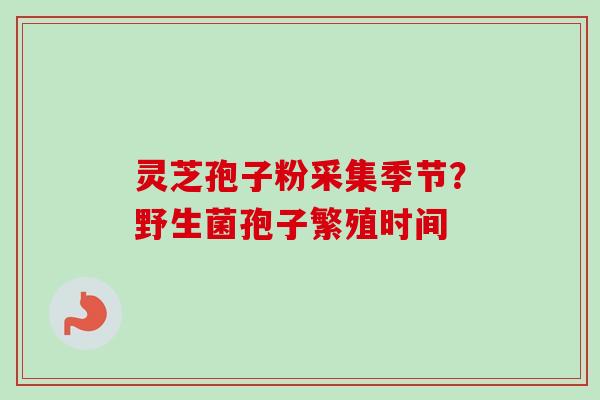 灵芝孢子粉采集季节?野生菌孢子繁殖时间-第1张图片-卓越灵芝孢子粉 灵芝孢子粉采集季节?野生菌孢子繁殖时间-第1张图片-卓越灵芝孢子粉