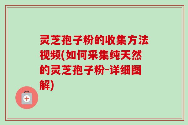 灵芝孢子粉的收集方法视频(如何采集纯天然的灵芝孢子粉-详细图解)-第1张图片-卓越灵芝孢子粉