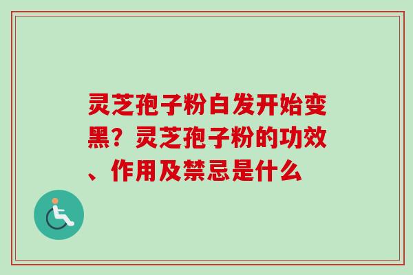 灵芝孢子粉白发开始变黑？灵芝孢子粉的功效、作用及禁忌是什么-第1张图片-卓越灵芝孢子粉