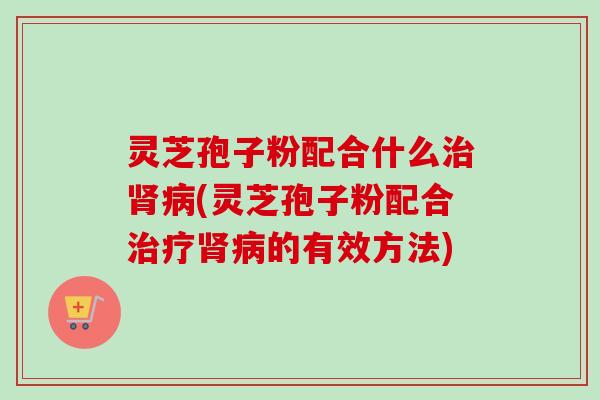 灵芝孢子粉配合什么治肾病(灵芝孢子粉配合治疗肾病的有效方法)-第1张图片-卓越灵芝孢子粉 灵芝孢子粉配合什么治肾病(灵芝孢子粉配合治疗肾病的有效方法)-第1张图片-卓越灵芝孢子粉