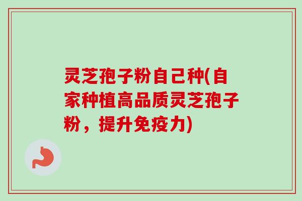 灵芝孢子粉自己种(自家种植高品质灵芝孢子粉，提升免疫力)-第1张图片-卓越灵芝孢子粉