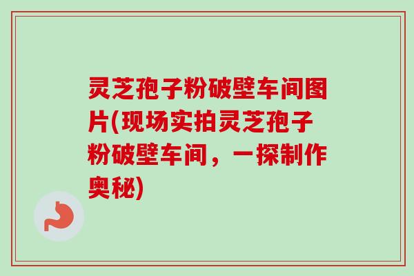 灵芝孢子粉破壁车间图片(现场实拍灵芝孢子粉破壁车间，一探制作奥秘)-第1张图片-卓越灵芝孢子粉