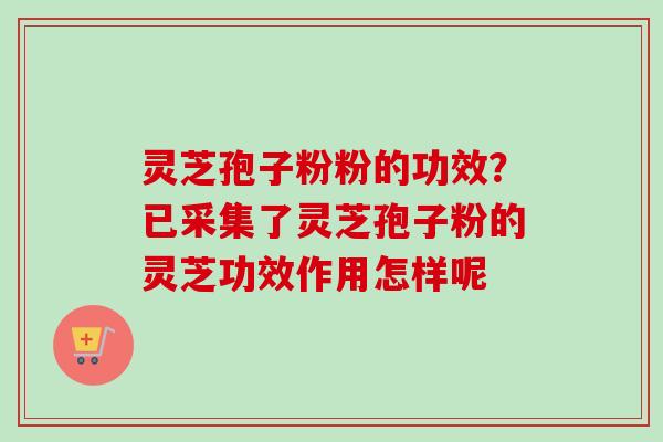 灵芝孢子粉粉的功效？已采集了灵芝孢子粉的灵芝功效作用怎样呢-第1张图片-卓越灵芝孢子粉