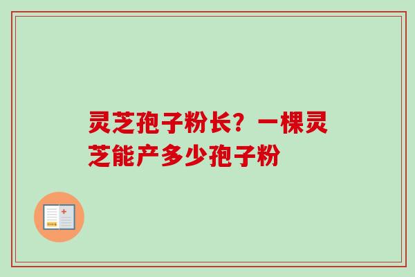 灵芝孢子粉长？一棵灵芝能产多少孢子粉-第1张图片-卓越灵芝孢子粉