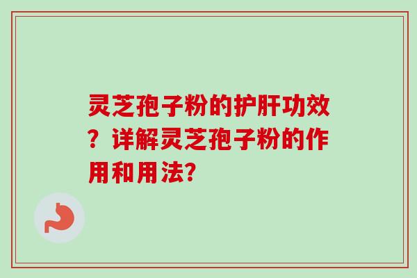 灵芝孢子粉的护肝功效？详解灵芝孢子粉的作用和用法？-第1张图片-卓越灵芝孢子粉