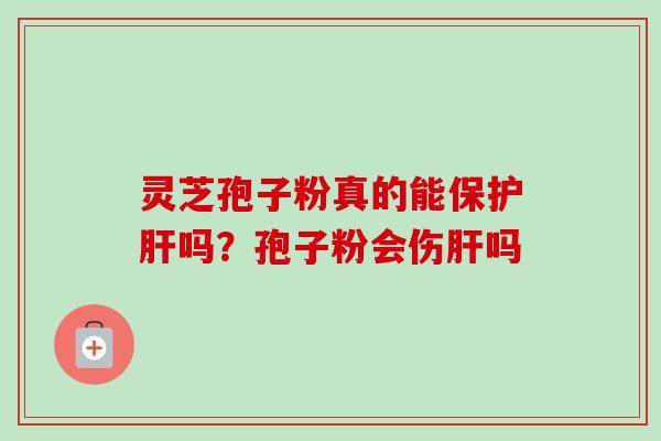 灵芝孢子粉真的能保护肝吗?孢子粉会伤肝吗-第1张图片-卓越灵芝孢子粉 灵芝孢子粉真的能保护肝吗?孢子粉会伤肝吗-第1张图片-卓越灵芝孢子粉