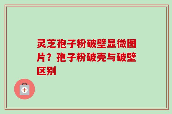 灵芝孢子粉破壁显微图片?孢子粉破壳与破壁区别-第1张图片-卓越灵芝孢子粉 灵芝孢子粉破壁显微图片?孢子粉破壳与破壁区别-第1张图片-卓越灵芝孢子粉
