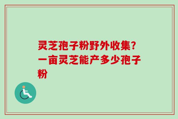 灵芝孢子粉野外收集?一亩灵芝能产多少孢子粉-第1张图片-卓越灵芝孢子粉 灵芝孢子粉野外收集?一亩灵芝能产多少孢子粉-第1张图片-卓越灵芝孢子粉