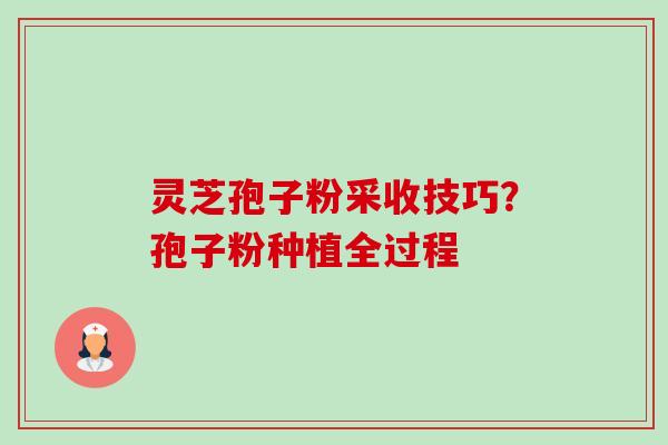 灵芝孢子粉采收技巧?孢子粉种植全过程-第1张图片-卓越灵芝孢子粉 灵芝孢子粉采收技巧?孢子粉种植全过程-第1张图片-卓越灵芝孢子粉