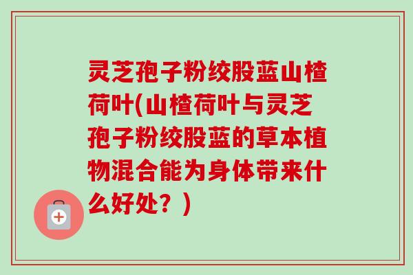 灵芝孢子粉绞股蓝山楂荷叶(山楂荷叶与灵芝孢子粉绞股蓝的草本植物混合能为身体带来什么好处?)-第1张图片-卓越灵芝孢子粉 灵芝孢子粉绞股蓝山楂荷叶(山楂荷叶与灵芝孢子粉绞股蓝的草本植物混合能为身体带来什么好处?)-第1张图片-卓越灵芝孢子粉