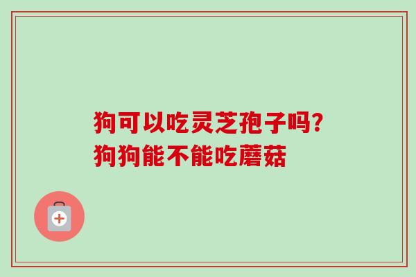狗可以吃灵芝孢子吗?狗狗能不能吃蘑菇-第1张图片-卓越灵芝孢子粉 狗可以吃灵芝孢子吗?狗狗能不能吃蘑菇-第1张图片-卓越灵芝孢子粉