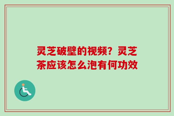 灵芝破壁的视频？灵芝茶应该怎么泡有何功效-第1张图片-卓越灵芝孢子粉