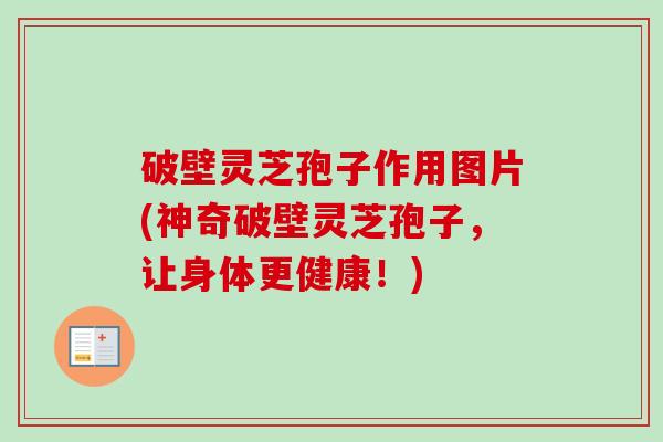 破壁灵芝孢子作用图片(神奇破壁灵芝孢子,让身体更健康!)-第1张图片-卓越灵芝孢子粉 破壁灵芝孢子作用图片(神奇破壁灵芝孢子,让身体更健康!)-第1张图片-卓越灵芝孢子粉