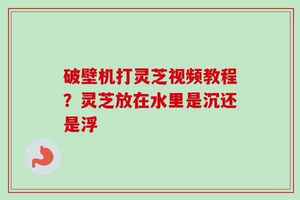 破壁机打灵芝视频教程?灵芝放在水里是沉还是浮-第1张图片-卓越灵芝孢子粉 破壁机打灵芝视频教程?灵芝放在水里是沉还是浮-第1张图片-卓越灵芝孢子粉