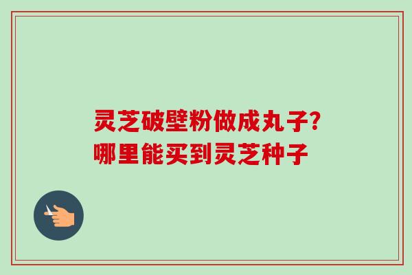灵芝破壁粉做成丸子?哪里能买到灵芝种子-第1张图片-卓越灵芝孢子粉 灵芝破壁粉做成丸子?哪里能买到灵芝种子-第1张图片-卓越灵芝孢子粉