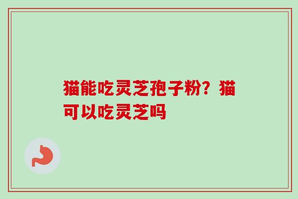 猫能吃灵芝孢子粉？猫可以吃灵芝吗-第1张图片-卓越灵芝孢子粉