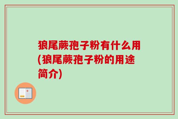 狼尾蕨孢子粉有什么用(狼尾蕨孢子粉的用途简介)-第1张图片-卓越灵芝孢子粉 狼尾蕨孢子粉有什么用(狼尾蕨孢子粉的用途简介)-第1张图片-卓越灵芝孢子粉