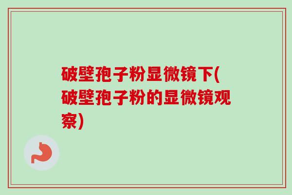 破壁孢子粉显微镜下(破壁孢子粉的显微镜观察)-第1张图片-卓越灵芝孢子粉 破壁孢子粉显微镜下(破壁孢子粉的显微镜观察)-第1张图片-卓越灵芝孢子粉