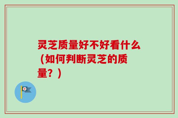 灵芝质量好不好看什么 (如何判断灵芝的质量?)-第1张图片-卓越灵芝孢子粉 灵芝质量好不好看什么 (如何判断灵芝的质量?)-第1张图片-卓越灵芝孢子粉
