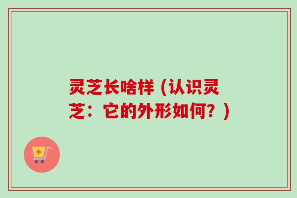 灵芝长啥样 (认识灵芝：它的外形如何？)-第1张图片-卓越灵芝孢子粉
