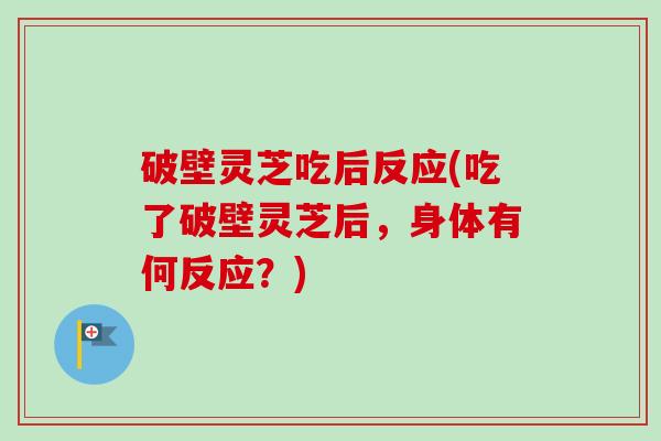 破壁灵芝吃后反应(吃了破壁灵芝后，身体有何反应？)-第1张图片-卓越灵芝孢子粉