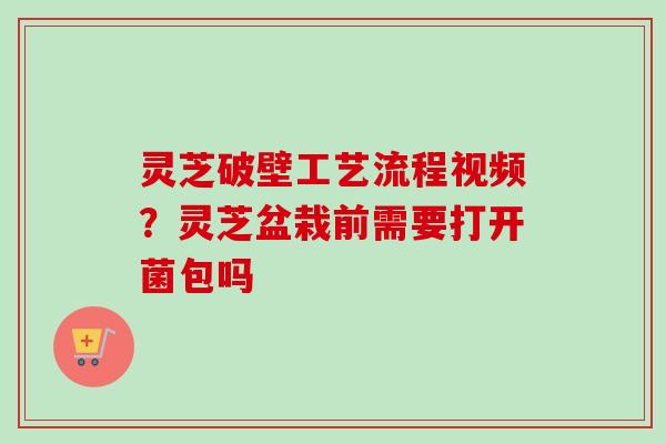 灵芝破壁工艺流程视频?灵芝盆栽前需要打开菌包吗-第1张图片-卓越灵芝孢子粉 灵芝破壁工艺流程视频?灵芝盆栽前需要打开菌包吗-第1张图片-卓越灵芝孢子粉